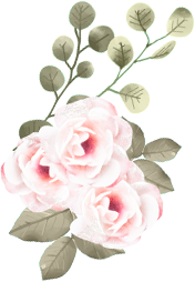 Αρχική 35 Αρχική