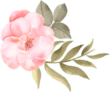 Αρχική 3 Αρχική