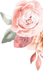 Αρχική 2 Αρχική